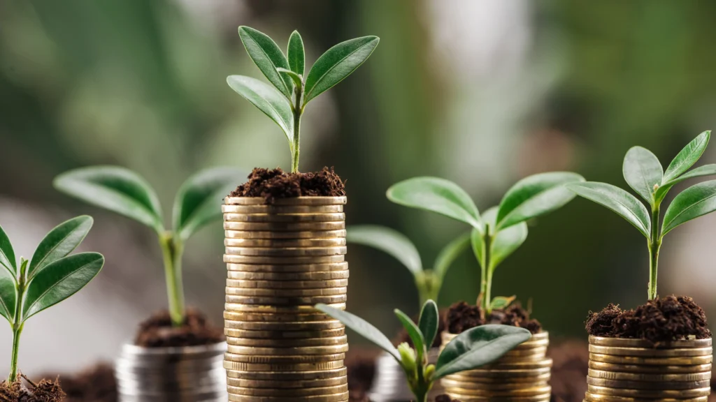 Can Fin Homes Share Price Surges as Morgan Stanley Ups Target Price Post Q2 Results