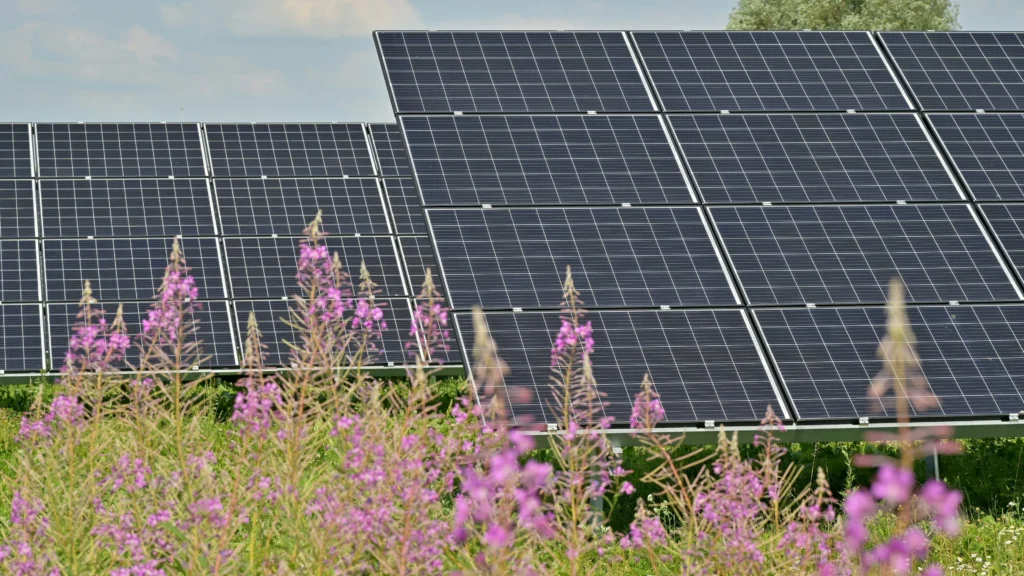 Navratna PSU IREDA Q2 Results This Week: Check Date, Share Price History And More