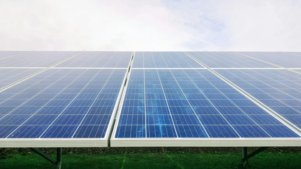 Premier Energies Q2 Results: What to Expect from the Solar Cell Manufacturer