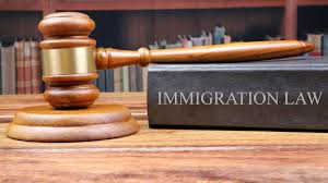 "India Immigration Law 2025: Balancing National Security and Human Rights"

"The New Immigration and Foreigners Act: What It Means for Foreign Nationals in India"

"India’s Immigration Debate: Security, Rights, and the Future of Migration"

"Understanding India Immigration Law 2025: Opportunities, Challenges, and Global Implications"

"From Visa Rules to Human Rights: Navigating India’s Immigration and Foreigners Act"