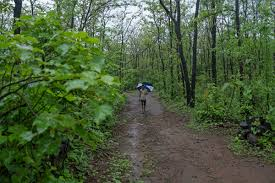 Buried Forest, Missing Law: India’s Hidden Green Crisis

Where Forests Disappear off the Books: The Missing Law Problem

Forests That Don’t Exist on Paper: Legal Loopholes & Hidden Loss

How India’s Forests Get Buried by Law Gaps — And What We Can Do

The Crisis of Forests Not Recognised in Law: A Deep Dive