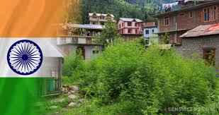 

    "Cannabis Cultivation in India 2025: Legal Insights and Growing Opportunities"

    "How Controlled Cannabis Farming is Taking Root in India’s States"

    "Navigating Cannabis Laws and Cultivation Challenges in India Today"

    "The Green Revolution: Hemp Cultivation and Sustainability in India"

    "Understanding India’s Cannabis Legal Framework: What Farmers Need to Know"
