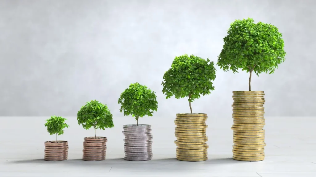 Meghmani Organics Q2 Results: A Detailed Analysis of the Company's Financial Performance