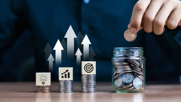 Hikal Revenue Recognition Irregularities: Impact on Investors and Lessons for Indian Markets