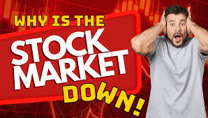 Meesho IPO, IPO allotment status, Meesho GMP today, Meesho listing date, IPO refund process, grey market premium, Meesho price band, Kfin allotment check, IPO news India, stock market updates, listing gains, Meesho share price, IPO 2025, Indian IPO market