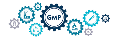 Corona Remedies IPO, Wakefit IPO, IPO GMP Today, IPO subscription status, pharma IPO analysis, D2C IPO India, stock market news, 2025 IPOs, investment analysis, DRHP explained, OFS IPO meaning, GMP trend, Wakefit listing, India stock market