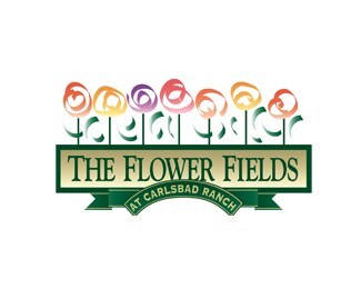 The Flower Fields at Carlsbad Ranch: A Must-Visit Destination for Nature Lovers