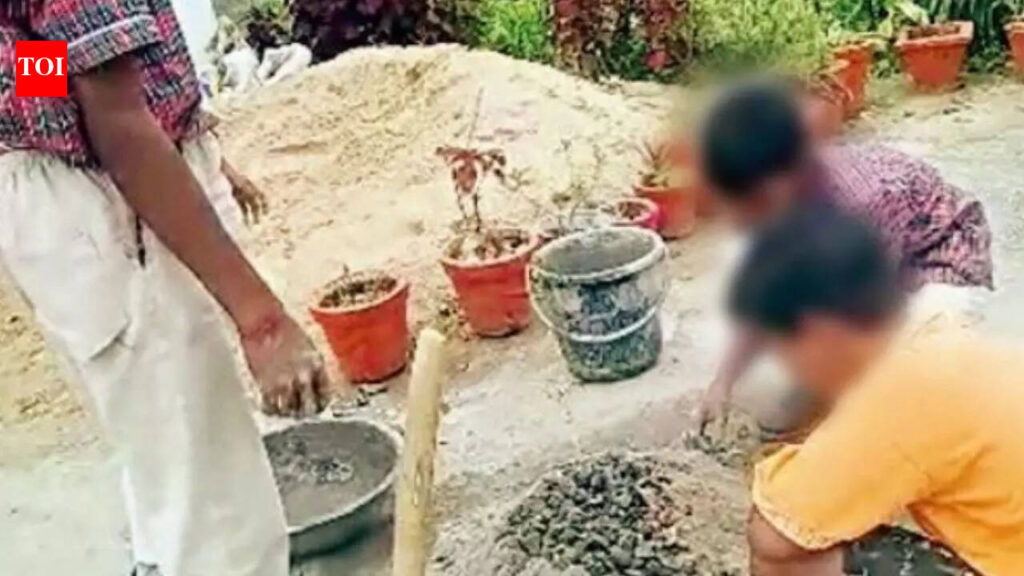 RTE Students Forced into Physical Labour: Chhattisgarh High Court Seeks Affidavit